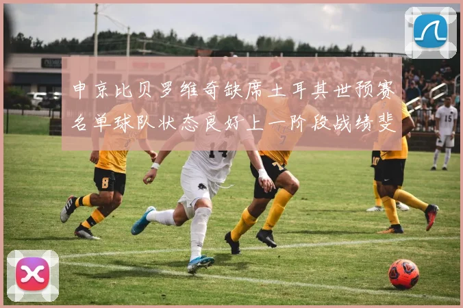 申京比贝罗维奇缺席土耳其世预赛名单球队状态良好上一阶段战绩斐然